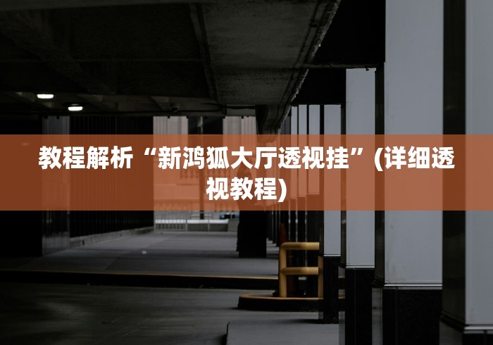 教程解析“新鸿狐大厅透视挂	”(详细透视教程)