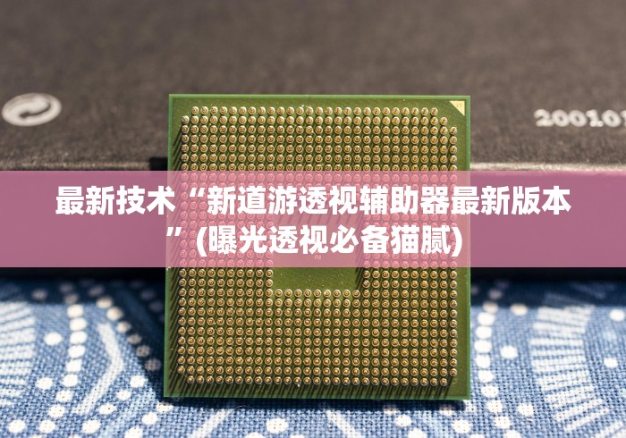 最新技术“新道游透视辅助器最新版本”(曝光透视必备猫腻)