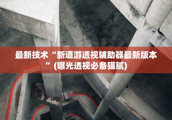 最新技术“新道游透视辅助器最新版本”(曝光透视必备猫腻)