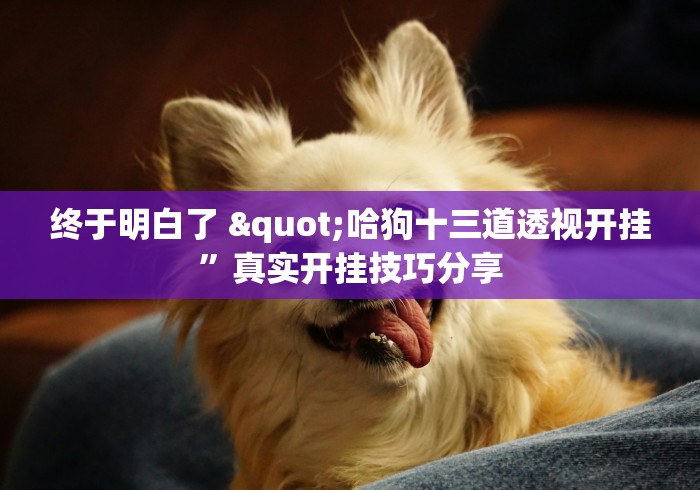 终于明白了 "哈狗十三道透视开挂”真实开挂技巧分享