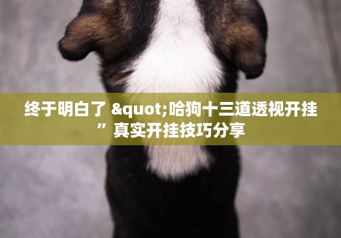 终于明白了 "哈狗十三道透视开挂”真实开挂技巧分享