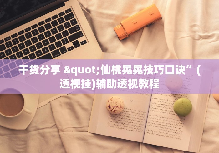 干货分享 "仙桃晃晃技巧口诀”(透视挂)辅助透视教程