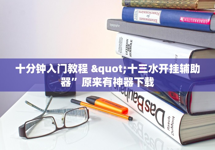 十分钟入门教程 "十三水开挂辅助器”原来有神器下载