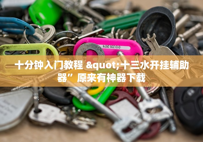 十分钟入门教程 "十三水开挂辅助器”原来有神器下载