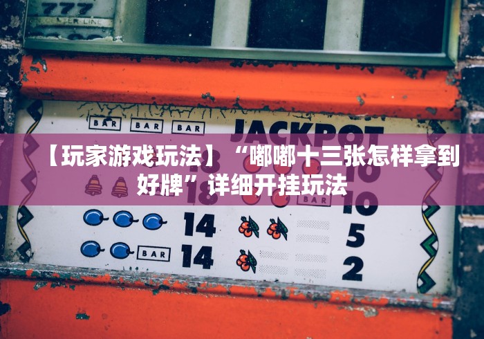 【玩家游戏玩法】“嘟嘟十三张怎样拿到好牌	”详细开挂玩法