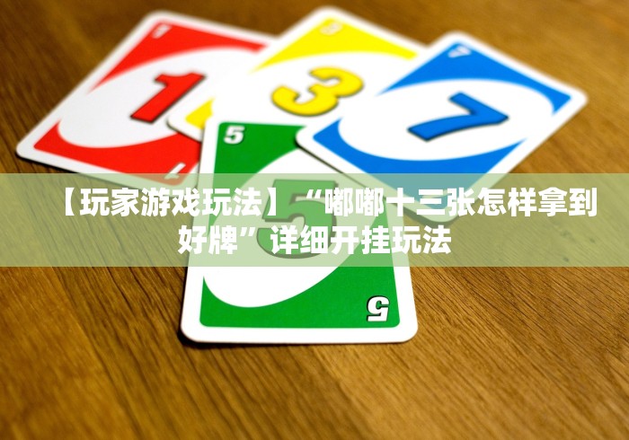 【玩家游戏玩法】“嘟嘟十三张怎样拿到好牌”详细开挂玩法