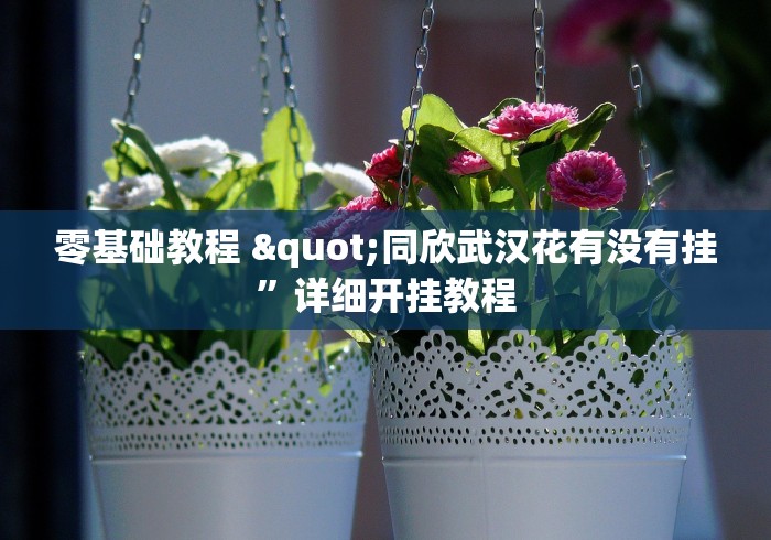 零基础教程 "同欣武汉花有没有挂”详细开挂教程