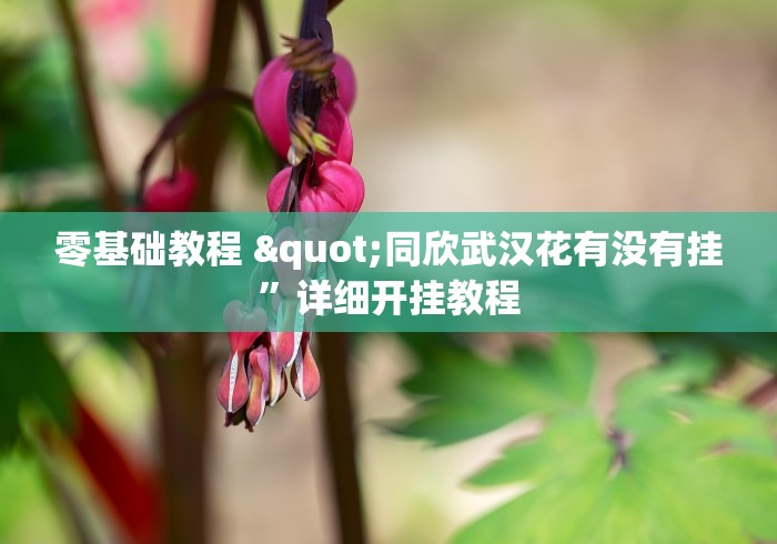 零基础教程 "同欣武汉花有没有挂”详细开挂教程