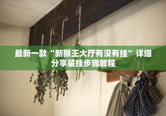 最新一款“新猴王大厅有没有挂”详细分享装挂步骤教程