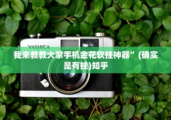 最新引进“微乐填大坑开挂辅助器	”(原来确实是有插件)