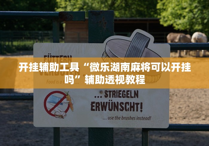 两分钟了解授权大厅拼三张有人开挂吗”开挂(透视)辅助教程