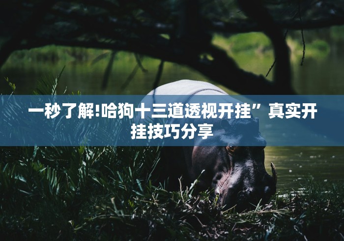 【第一攻略】“贵州微乐麻将外卦神器下载安装	”详细开挂玩法