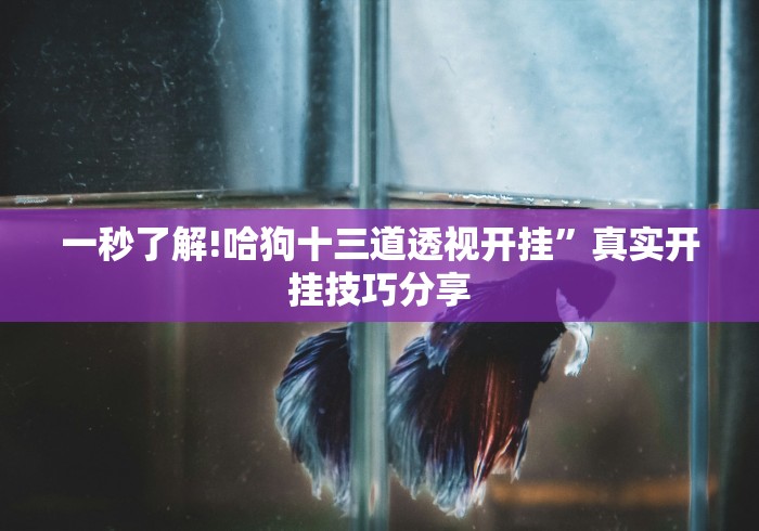 独家脚本实测“微乐云南麻将为什么一直输	”详细分享装挂步骤教程