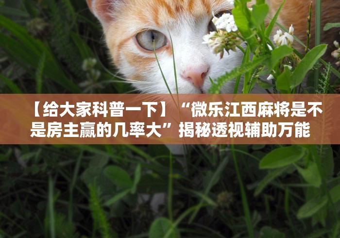 快速上手 "小吆捉老麻子可以开挂吗	”掌握辅助功能必胜规则