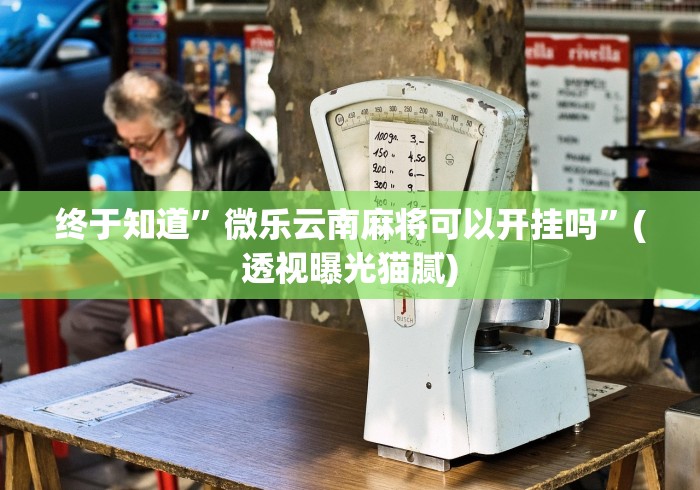 【终于出现】“微乐家乡麻将万能开挂器	”-原来有挂