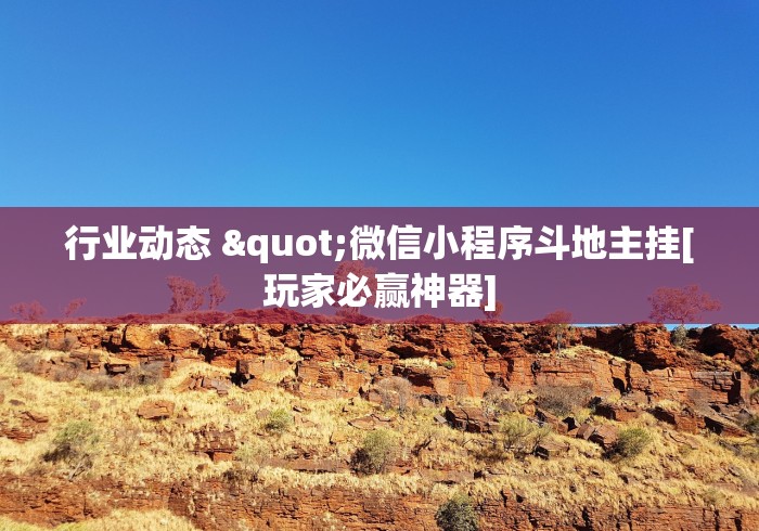 终于知道”新海狮有挂吗的确有挂”科技辅助神器手机版教程