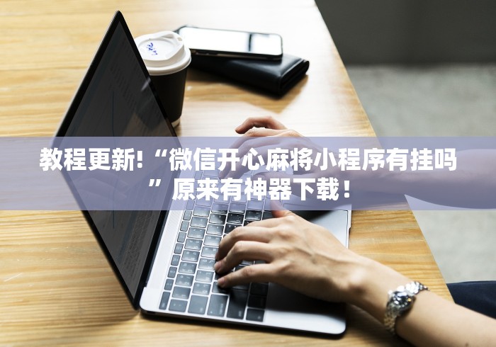 强烈推荐 "中至余干辅助	”(原来确实是有挂) 