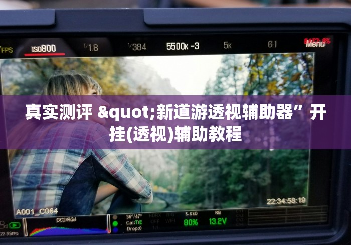 真实测评 "新道游透视辅助器	”开挂(透视)辅助教程
