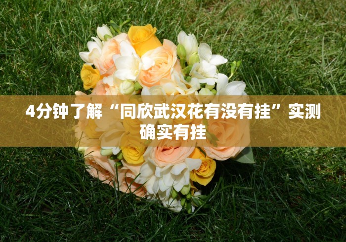 4分钟了解“同欣武汉花有没有挂”实测确实有挂