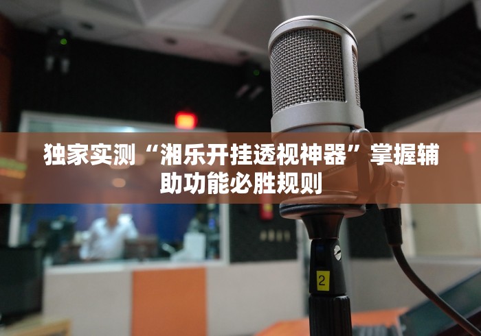 独家实测“湘乐开挂透视神器”掌握辅助功能必胜规则