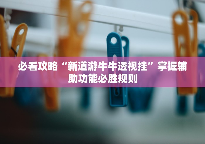 必看攻略“新道游牛牛透视挂”掌握辅助功能必胜规则