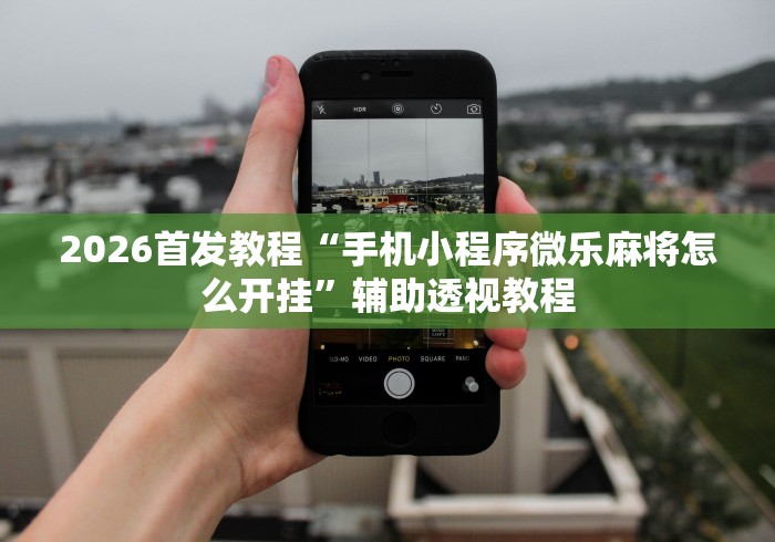 2026首发教程“手机小程序微乐麻将怎么开挂”辅助透视教程