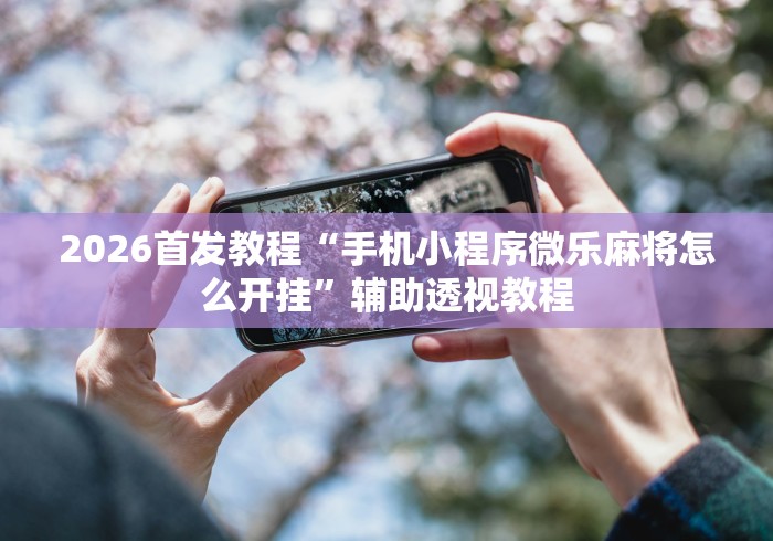 2026首发教程“手机小程序微乐麻将怎么开挂	”辅助透视教程