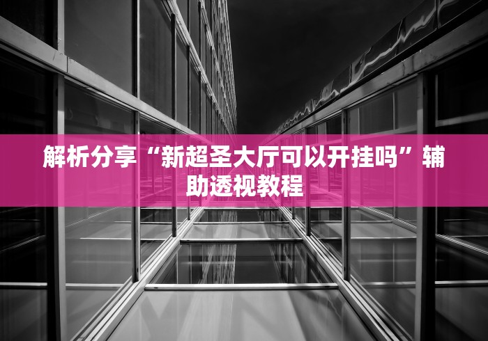 解析分享“新超圣大厅可以开挂吗”辅助透视教程
