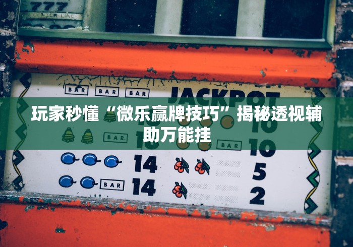 玩家秒懂“微乐赢牌技巧”揭秘透视辅助万能挂