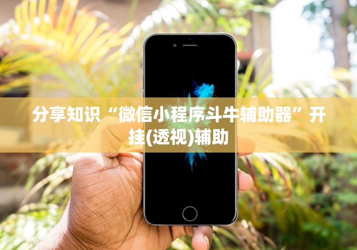 分享知识“微信小程序斗牛辅助器”开挂(透视)辅助