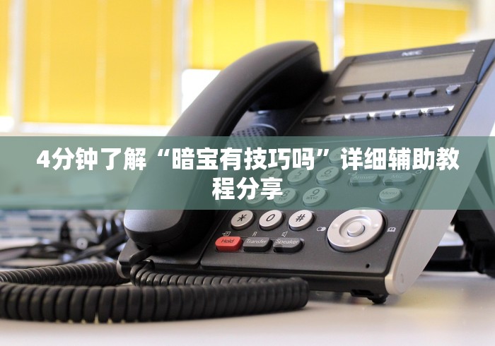 4分钟了解“暗宝有技巧吗”详细辅助教程分享