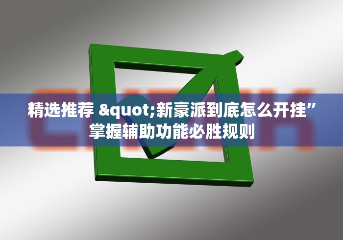 精选推荐 "新豪派到底怎么开挂	”掌握辅助功能必胜规则