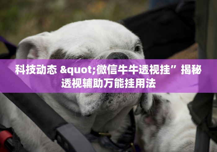 科技动态 "微信牛牛透视挂”揭秘透视辅助万能挂用法