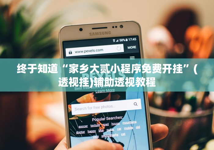 终于知道“家乡大贰小程序免费开挂”(透视挂)辅助透视教程