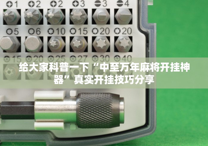 给大家科普一下“中至万年麻将开挂神器”真实开挂技巧分享