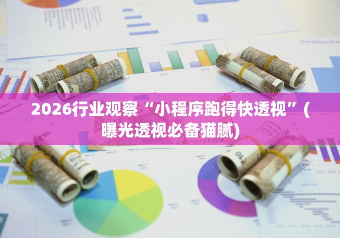 2026行业观察“小程序跑得快透视	”(曝光透视必备猫腻)