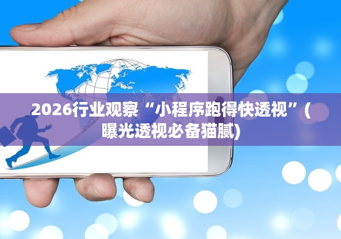 2026行业观察“小程序跑得快透视”(曝光透视必备猫腻)